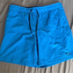 Oakley Men's Blue Swim Shorts